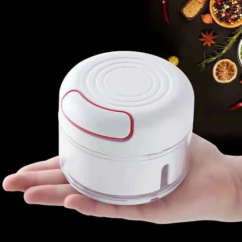 Kitchen Gadgets Must Have - Plastic Garlic Crusher Press Vegetable Cutter