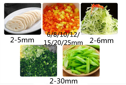 Automatic Vegetable Potato Dic - Vegetable Chopper のレビューと価格