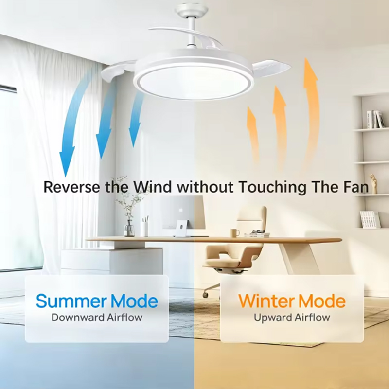 Smart LED Ceiling Fan with Lam - Kitchen Gadgets Smart のレビューと価格