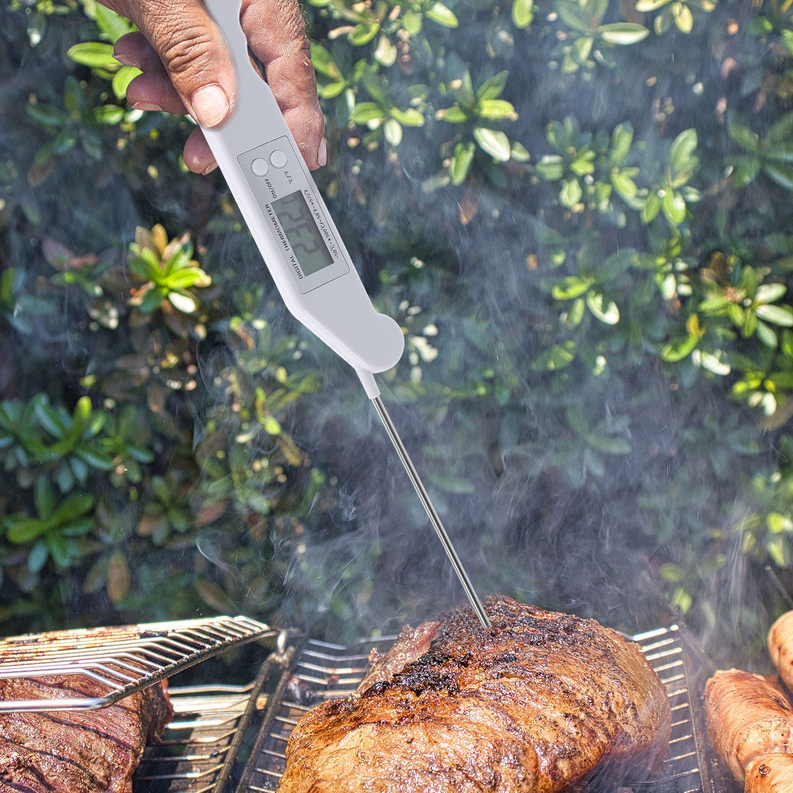 Folding Electronic Thermometer - Meat Thermometer のレビューと価格