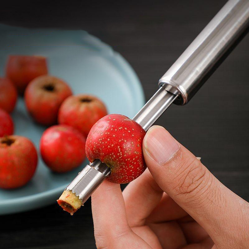 Stainless Steel Fruit Corer Ap - Kitchen Gadget Amazon のレビューと価格